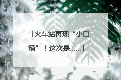 火车站再现“小白箱”！这次是……