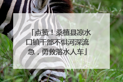 点赞！桑植县凉水口镇干部不惧河深流急，勇救落水人车