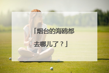 烟台的海鸥都去哪儿了？
