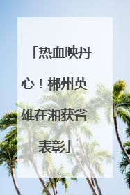 热血映丹心！郴州英雄在湘获省表彰