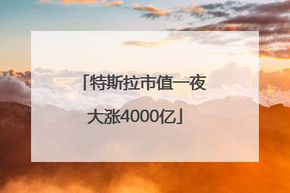 特斯拉市值一夜大涨4000亿