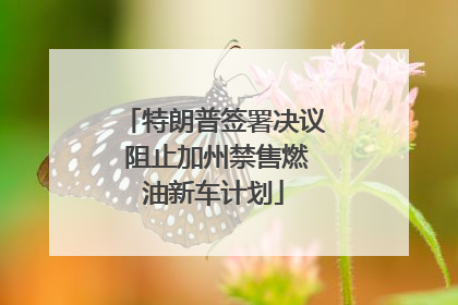 特朗普签署决议 阻止加州禁售燃油新车计划