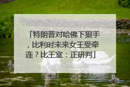 特朗普对哈佛下狠手，比利时未来女王受牵连？比王室：正研判