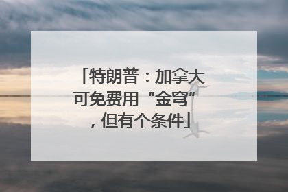 特朗普：加拿大可免费用“金穹”，但有个条件