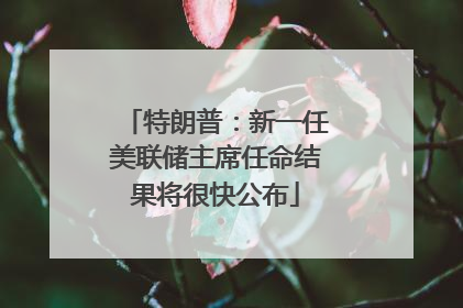 特朗普：新一任美联储主席任命结果将很快公布