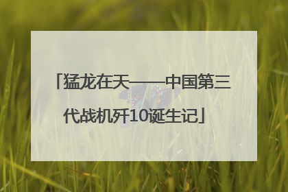 猛龙在天——中国第三代战机歼10诞生记