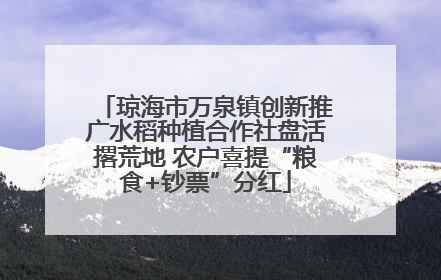 琼海市万泉镇创新推广水稻种植合作社盘活撂荒地 农户喜提“粮食+钞票”分红