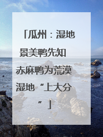 瓜州：湿地景美鸭先知 赤麻鸭为荒漠湿地“上大分”