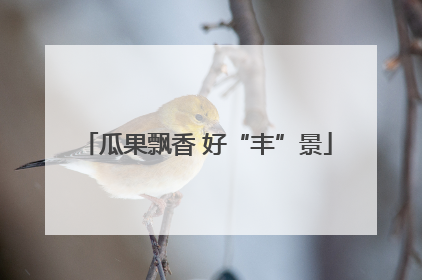 瓜果飘香 好“丰”景