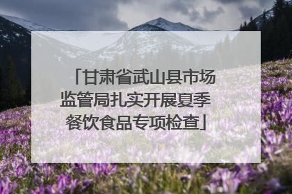 甘肃省武山县市场监管局扎实开展夏季餐饮食品专项检查