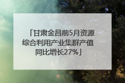 甘肃金昌前5月资源综合利用产业集群产值同比增长27%