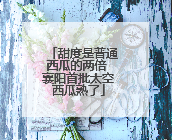 甜度是普通西瓜的两倍 襄阳首批太空西瓜熟了