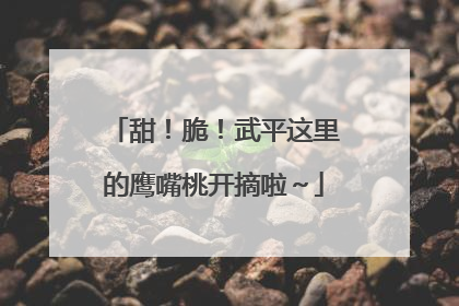 甜！脆！武平这里的鹰嘴桃开摘啦～