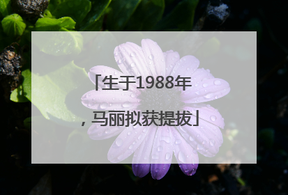 生于1988年，马丽拟获提拔