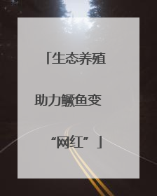 生态养殖助力鳜鱼变“网红”