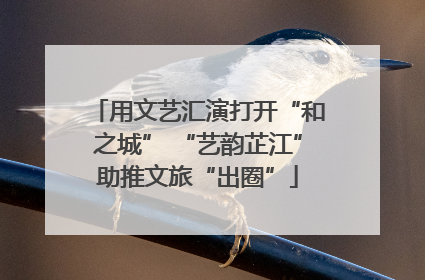 用文艺汇演打开“和之城” “艺韵芷江”助推文旅“出圈”