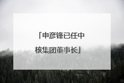 申彦锋已任中核集团董事长