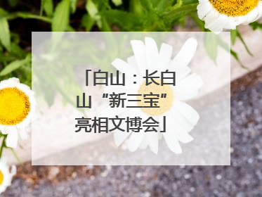 白山：长白山“新三宝”亮相文博会