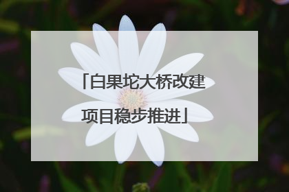 白果坨大桥改建项目稳步推进