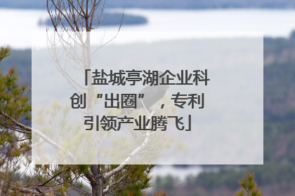 盐城亭湖企业科创“出圈”，专利引领产业腾飞