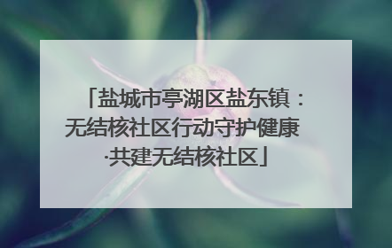 盐城市亭湖区盐东镇：无结核社区行动守护健康 ·共建无结核社区