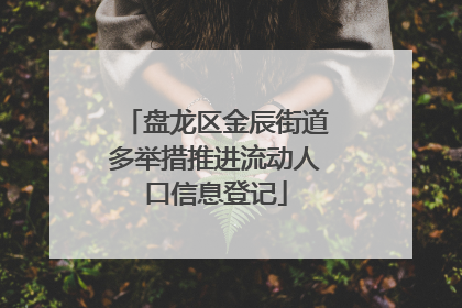 盘龙区金辰街道多举措推进流动人口信息登记