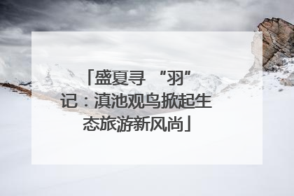 盛夏寻 “羽” 记：滇池观鸟掀起生态旅游新风尚