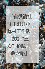 省供销社驻正阳县小陈村工作队 助力“三夏”护航丰收之路