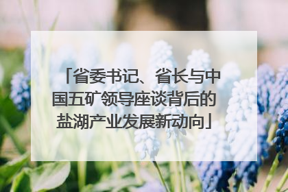 省委书记、省长与中国五矿领导座谈背后的盐湖产业发展新动向