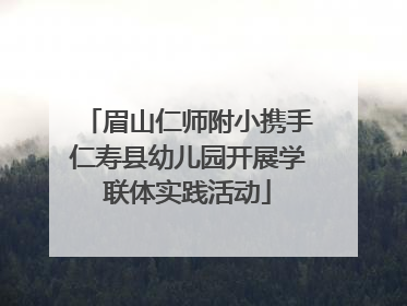 眉山仁师附小携手仁寿县幼儿园开展学联体实践活动