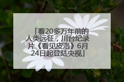 看20多万年前的人类远征，川台纪录片《看见皮洛》6月24日起登陆央视