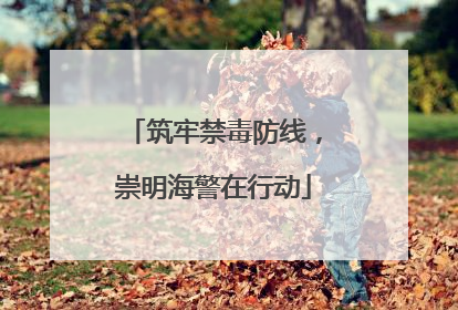 筑牢禁毒防线，崇明海警在行动