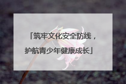 筑牢文化安全防线，护航青少年健康成长