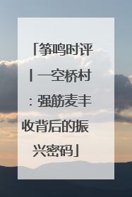 筝鸣时评丨一空桥村：强筋麦丰收背后的振兴密码