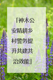 神木公安精耕乡村警务提升共建共治效能
