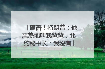 离谱！特朗普：他亲热地叫我爸爸，北约秘书长：我没有