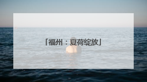 福州：夏荷绽放