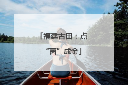福建古田：点“菌”成金