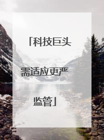 科技巨头需适应更严监管