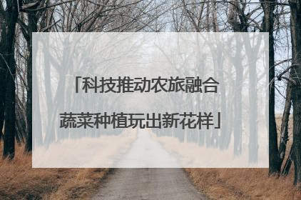科技推动农旅融合 蔬菜种植玩出新花样