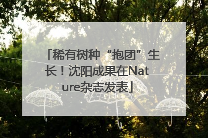 稀有树种“抱团”生长！沈阳成果在Nature杂志发表