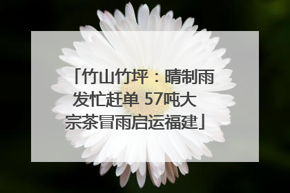 竹山竹坪：晴制雨发忙赶单 57吨大宗茶冒雨启运福建