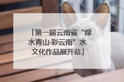 第一届云南省“绿水青山·彩云南”水文化作品展开幕