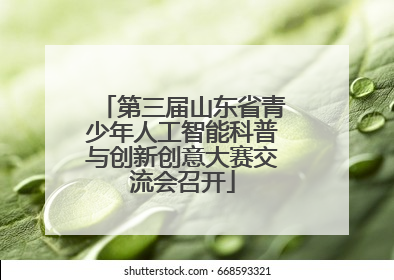 第三届山东省青少年人工智能科普与创新创意大赛交流会召开