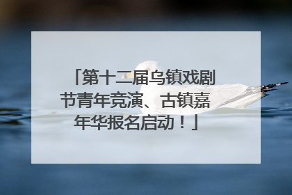 第十二届乌镇戏剧节青年竞演、古镇嘉年华报名启动！