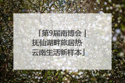 第9届南博会｜抚仙湖畔旅居热 云南生活新样本