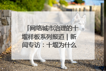 网络城市治理的十堰样板系列报道｜新闻专访：十堰为什么成为“黑马型”城市治理网络维度典型