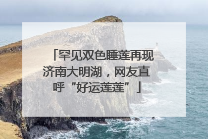 罕见双色睡莲再现济南大明湖，网友直呼“好运莲莲”