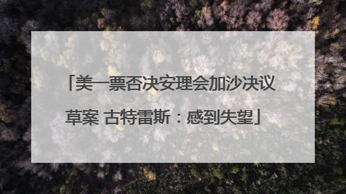 美一票否决安理会加沙决议草案 古特雷斯：感到失望