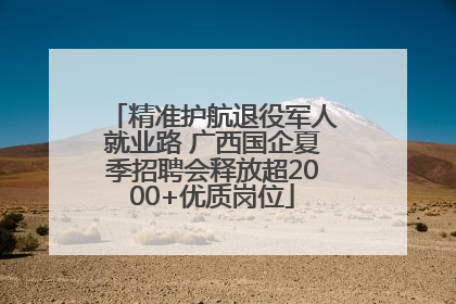 精准护航退役军人就业路 广西国企夏季招聘会释放超2000+优质岗位